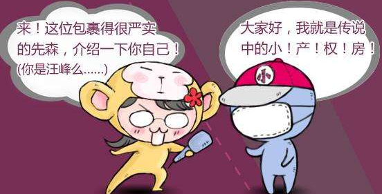 深圳小产权房